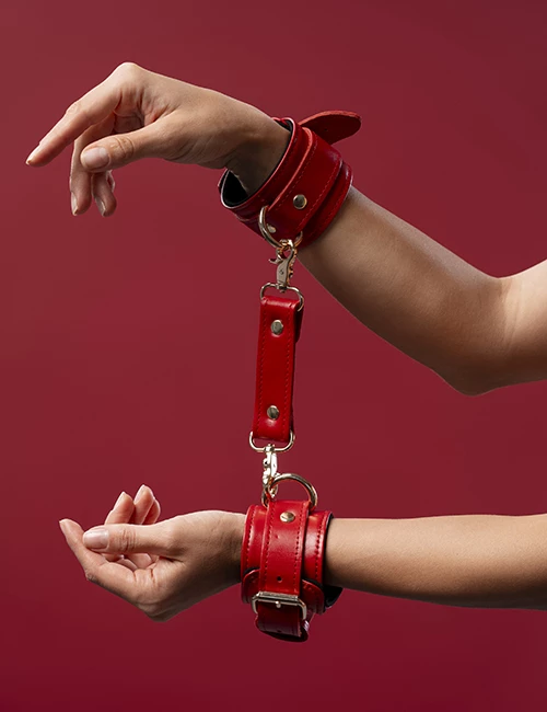 Tienda Erótica Online